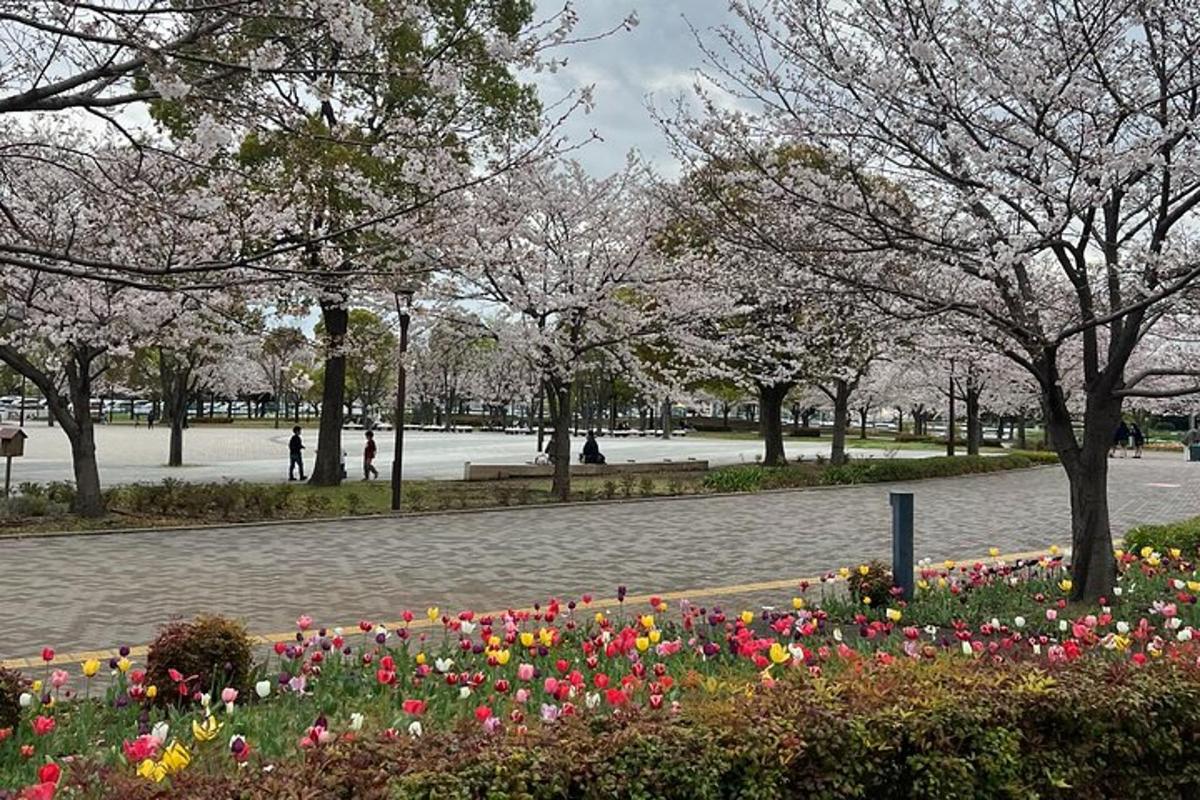 un parco pieno di fiori e alberi con akura
