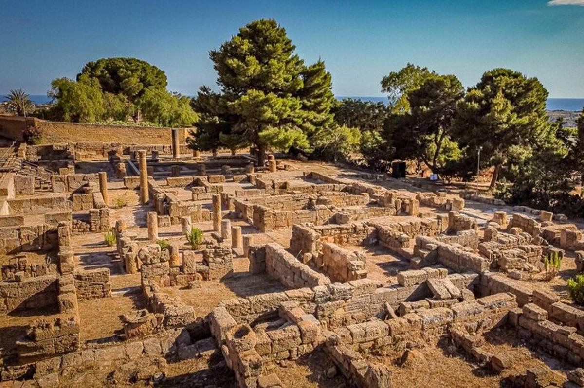 ancient ruins of a building with trees in the background