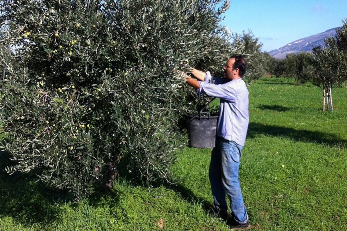 un uomo è in piedi accanto a un melo