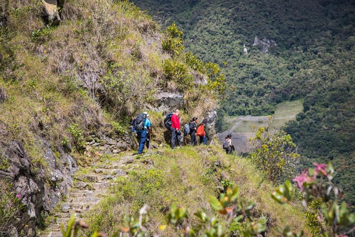 un gruppo di persone che camminano su un sentiero di montagna