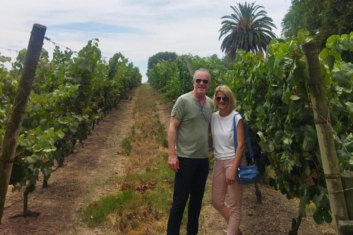 um homem e uma mulher em pé em um vinhedo