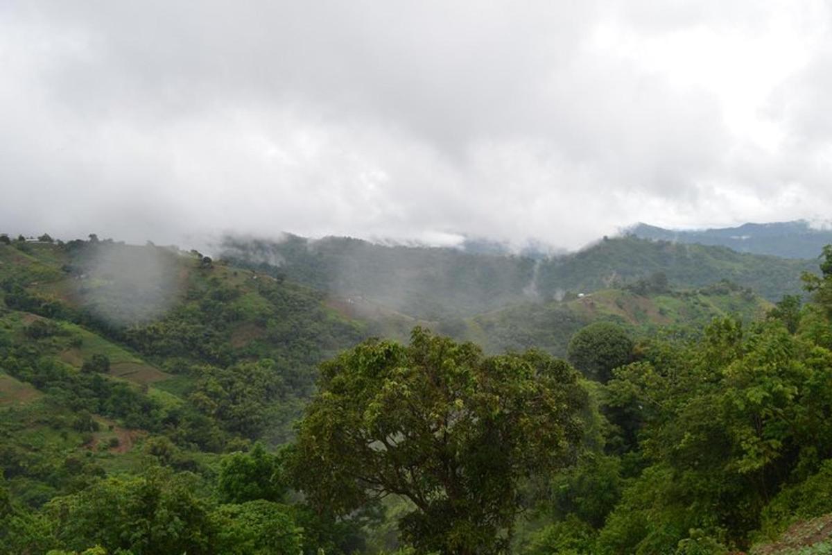a misty mountain with trees and clouds in the background