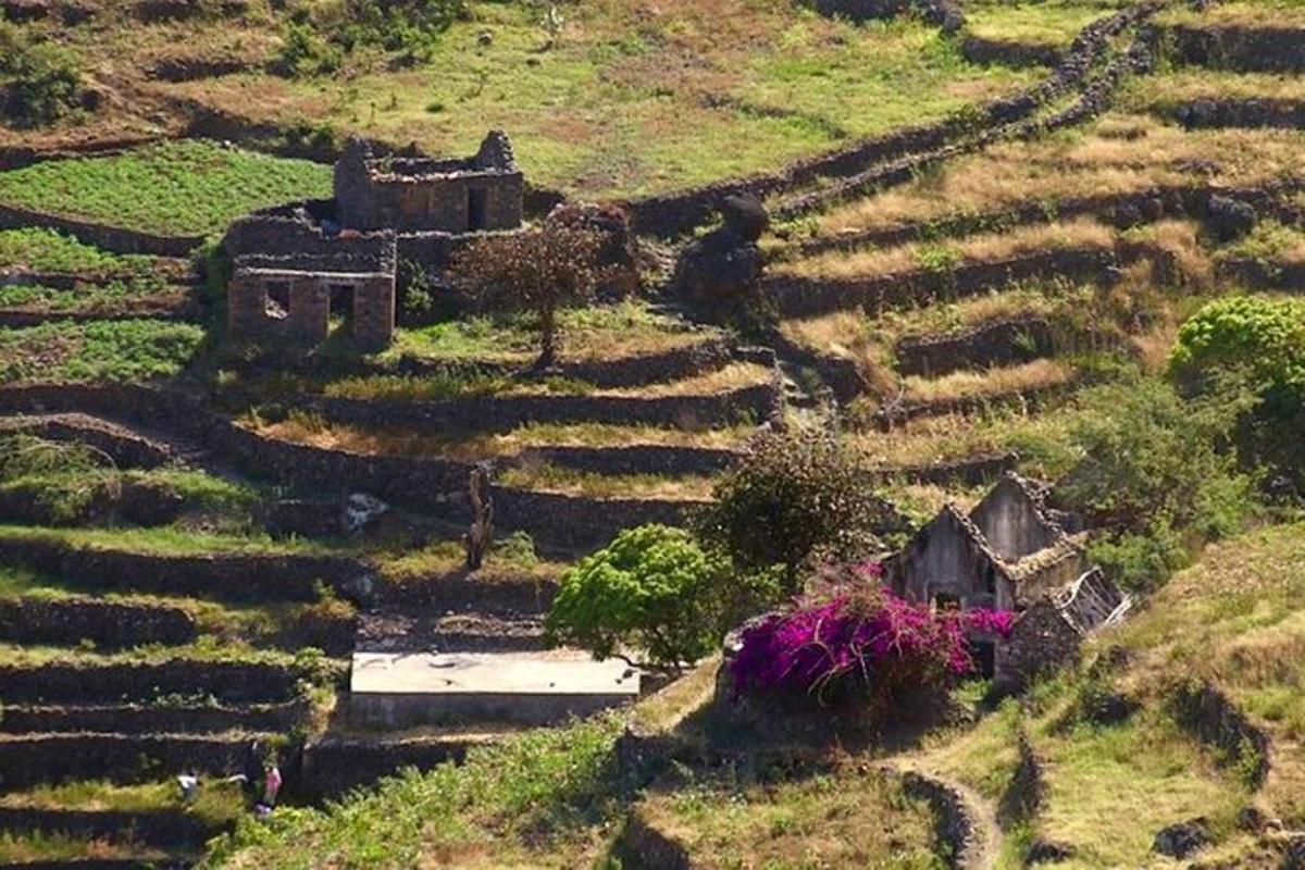 Foto 6 de l'atracció turística