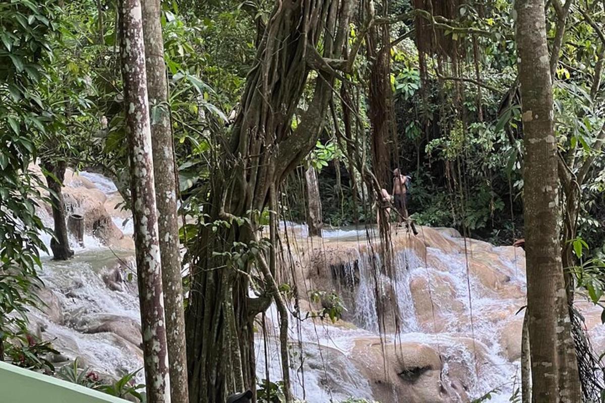 seorang pria berdiri di atas air terjun di hutan