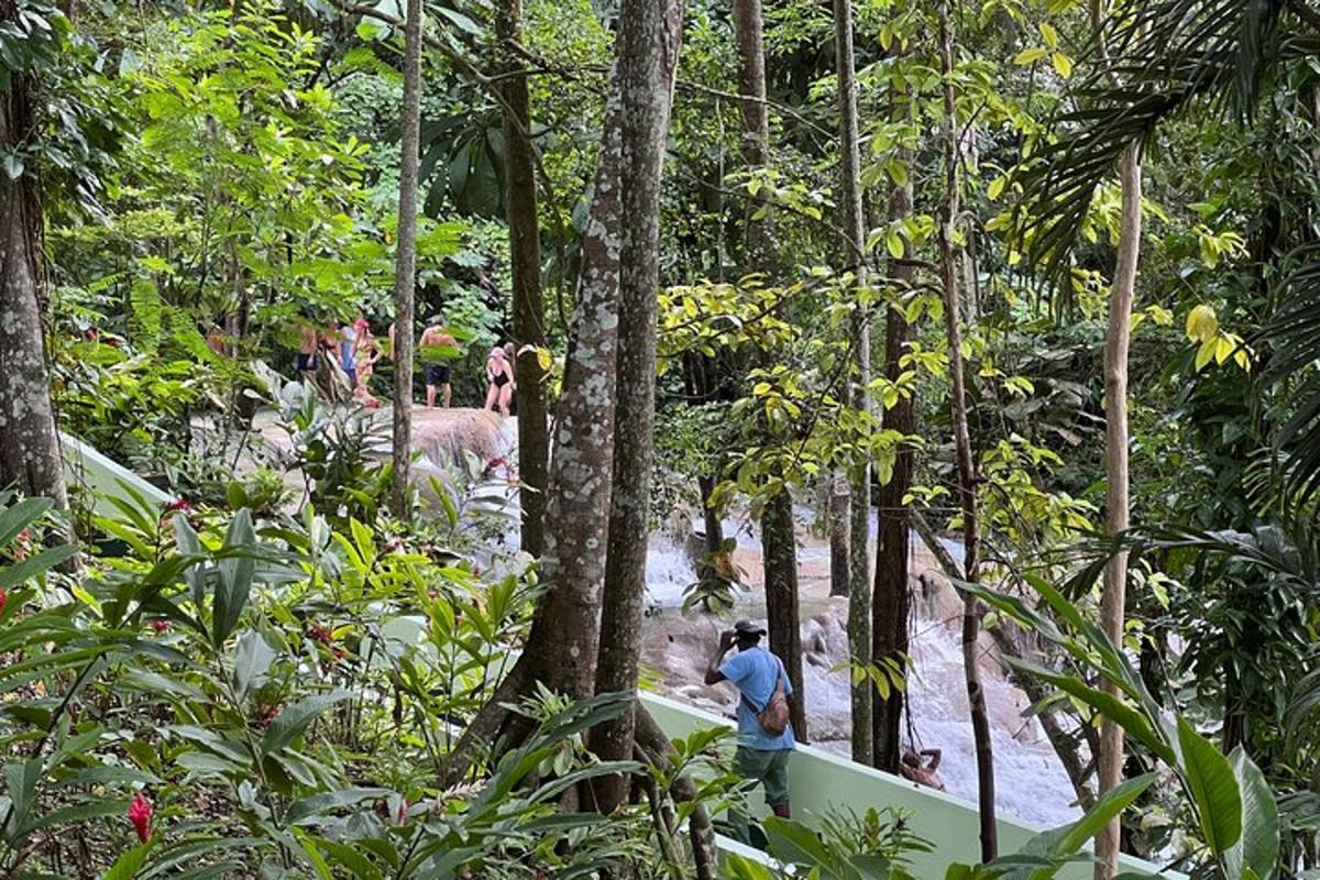 sekelompok orang berjalan menyusuri jalan setapak di hutan