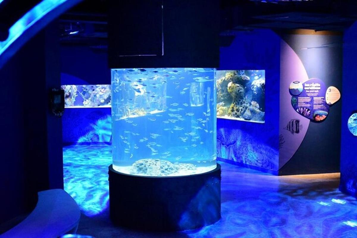 un aquari amb un tanc d'aigua en una habitació