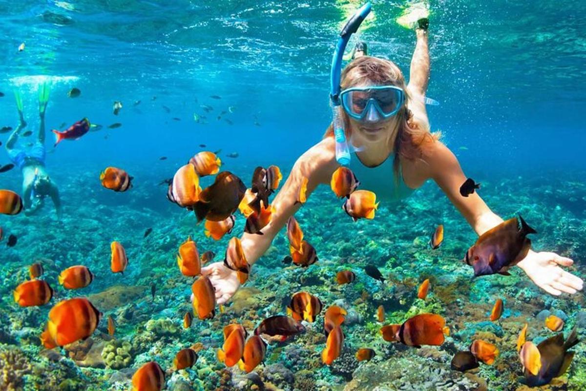 a woman in the ocean looking at fish
