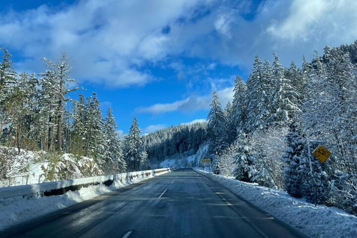 an empty road with snow covered trees on the sides