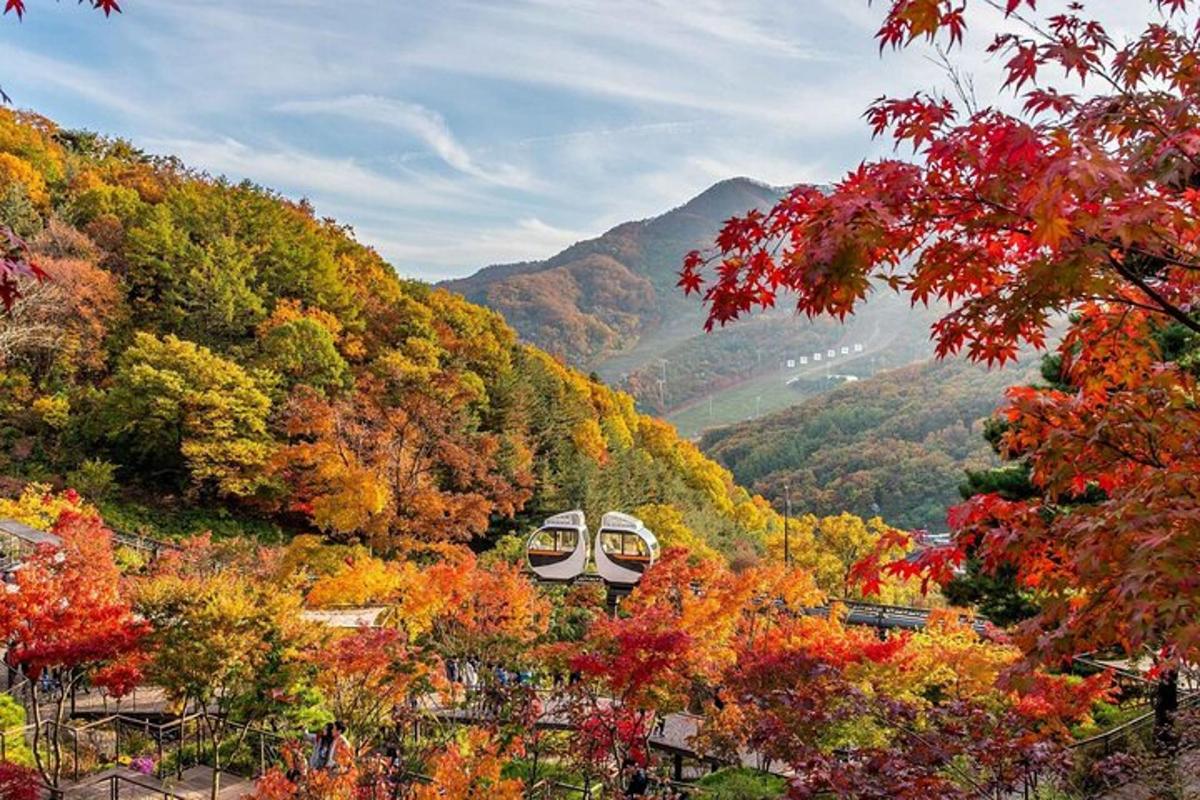 투어 액티비티 사진 1번