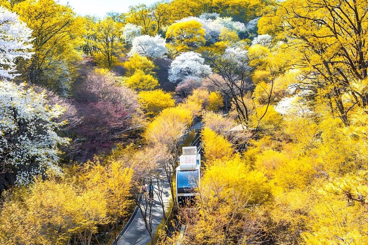 투어 액티비티 사진 5번
