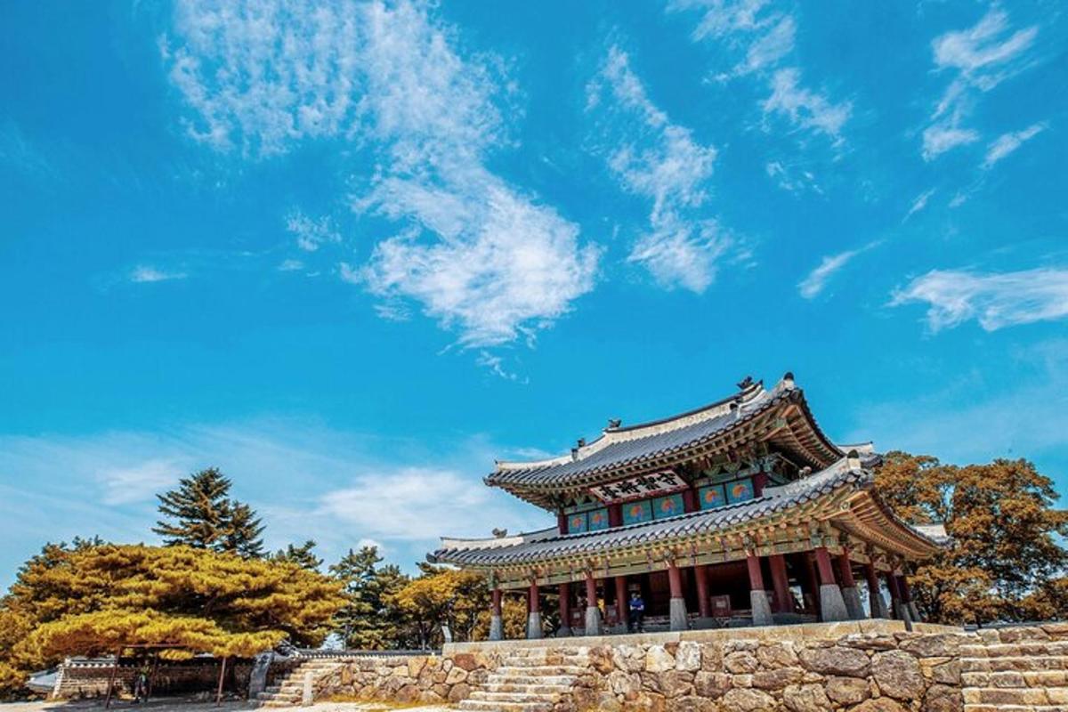 투어 액티비티 사진 7번