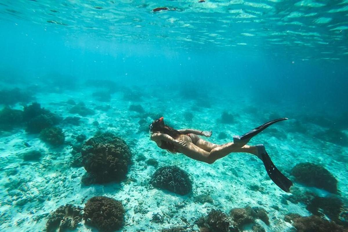 a woman is swimming in the water near the reef
