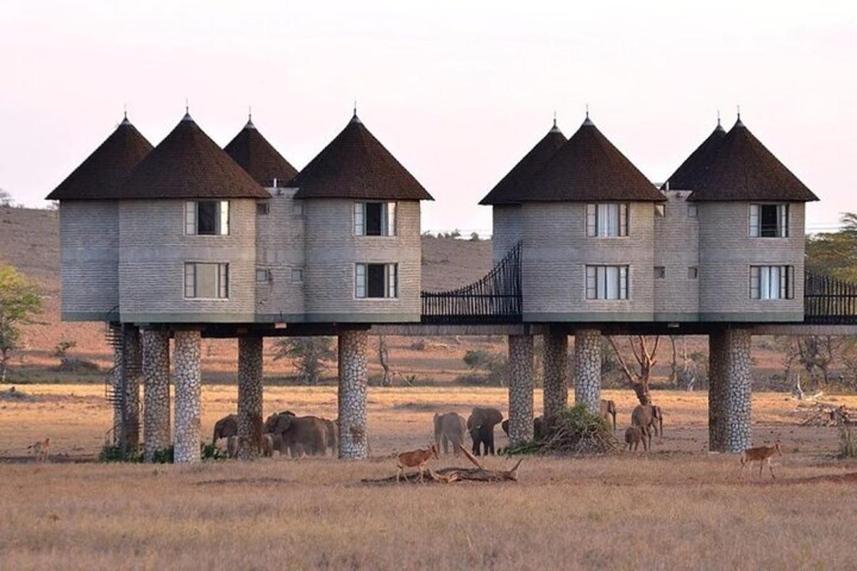 a group of houses on pillars in a field