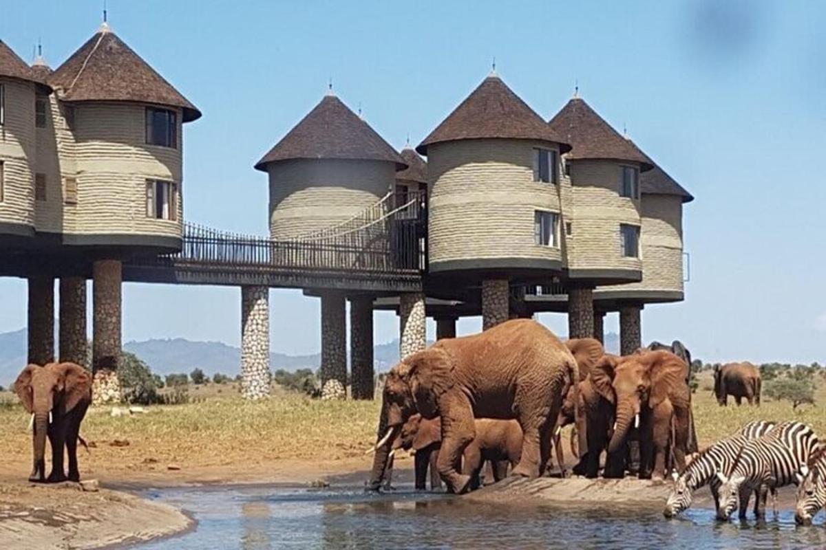 a herd of elephants and zebras standing in the water