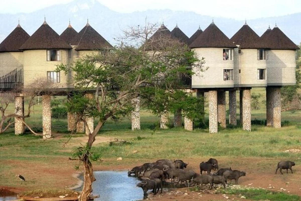 a herd of animals standing in front of a building