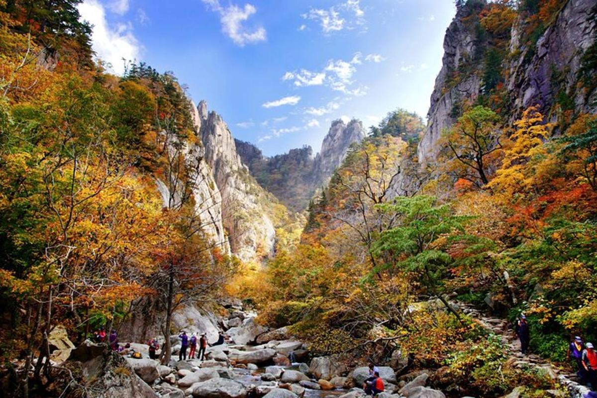 un gruppo di persone che camminano lungo un fiume in un canyon