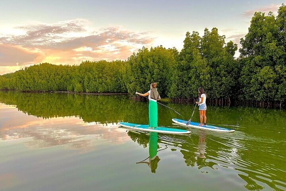 dvě děti jsou na paddleboardech ve vodě