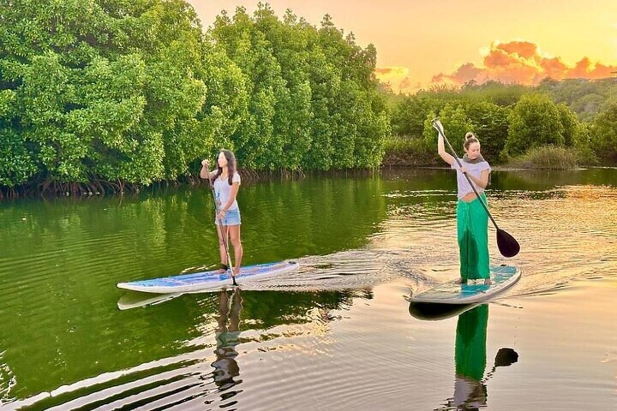 due donne sono in piedi su tavole da paddle in acqua