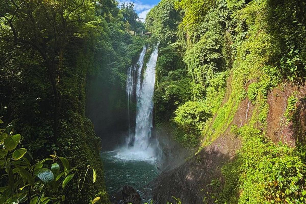 a waterfall in the middle of a river in a forest