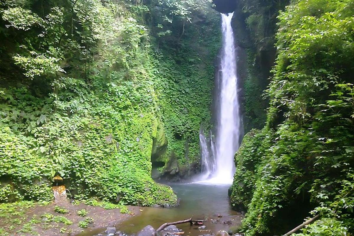 a waterfall in the middle of a jungle