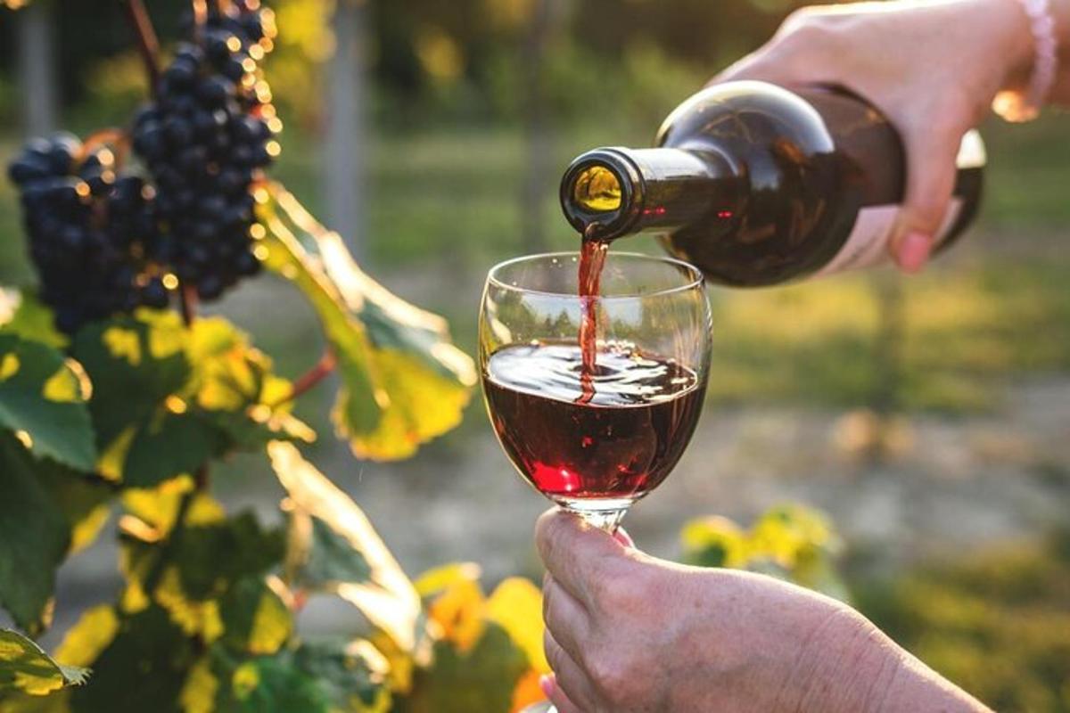 en person, der hælder vin i et vinglas