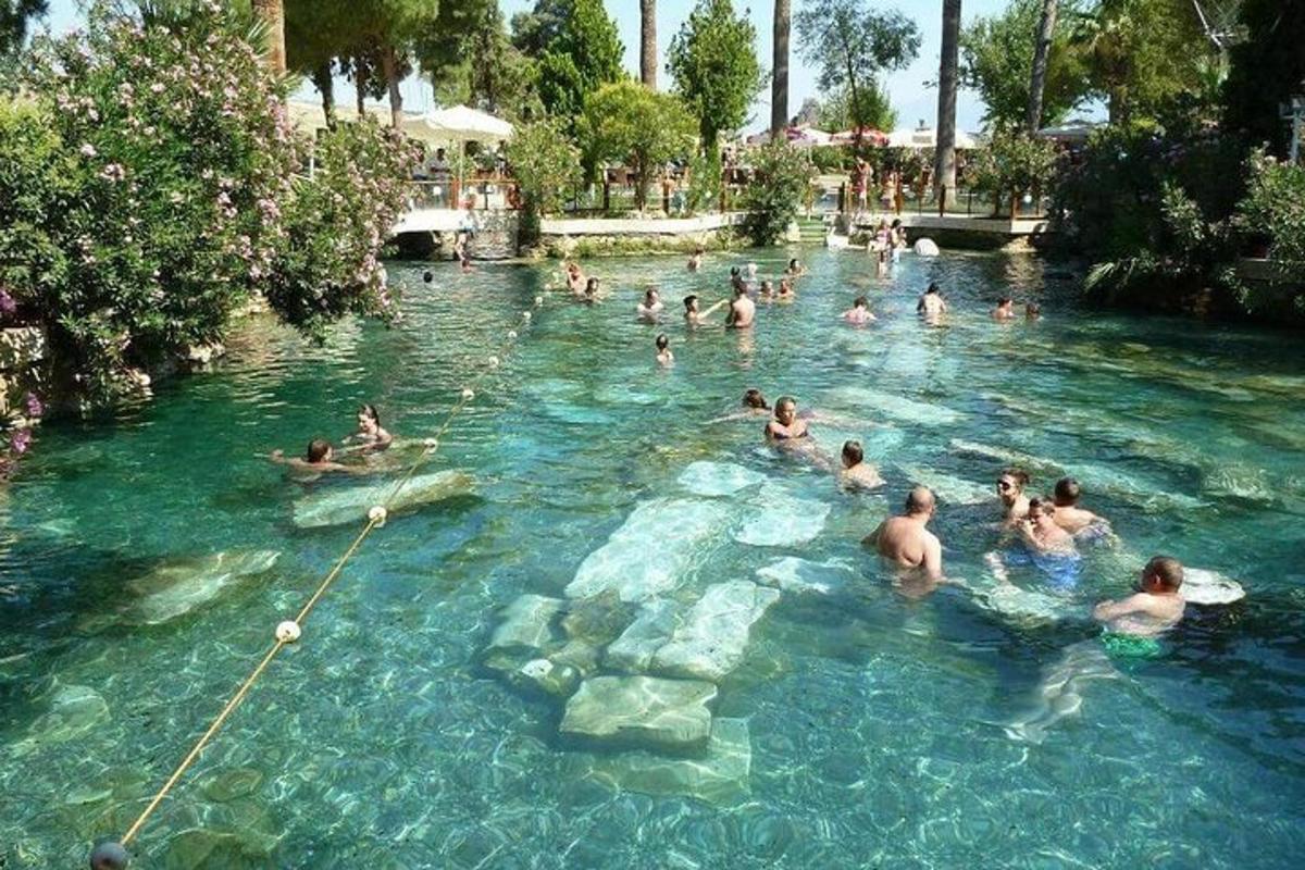 un grupo de personas nadando en una piscina