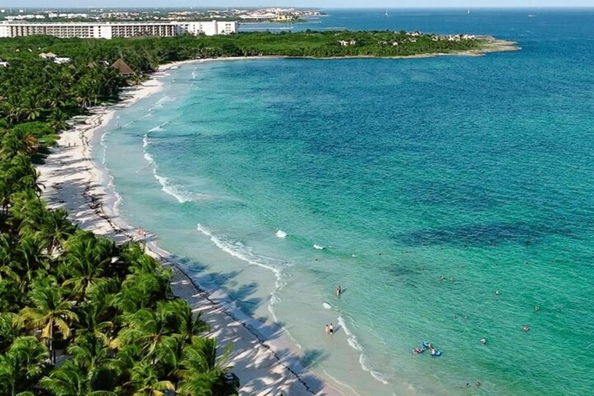 una vista aerea di una spiaggia con palme