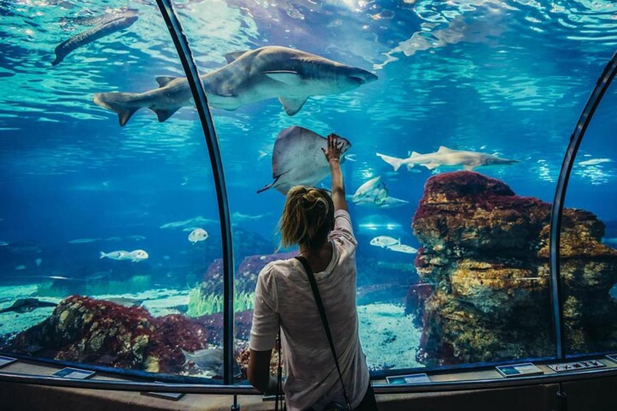 Attraction picture 3