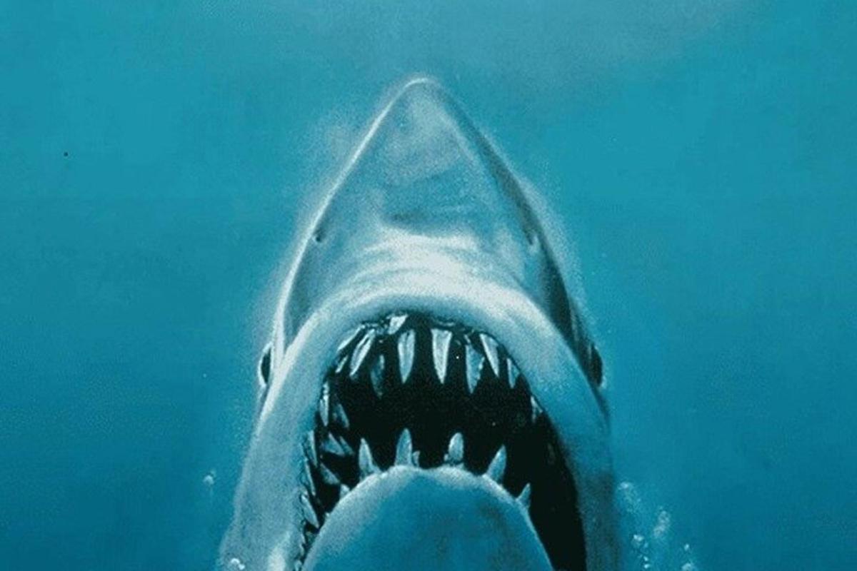 a shark with its mouth open in the water