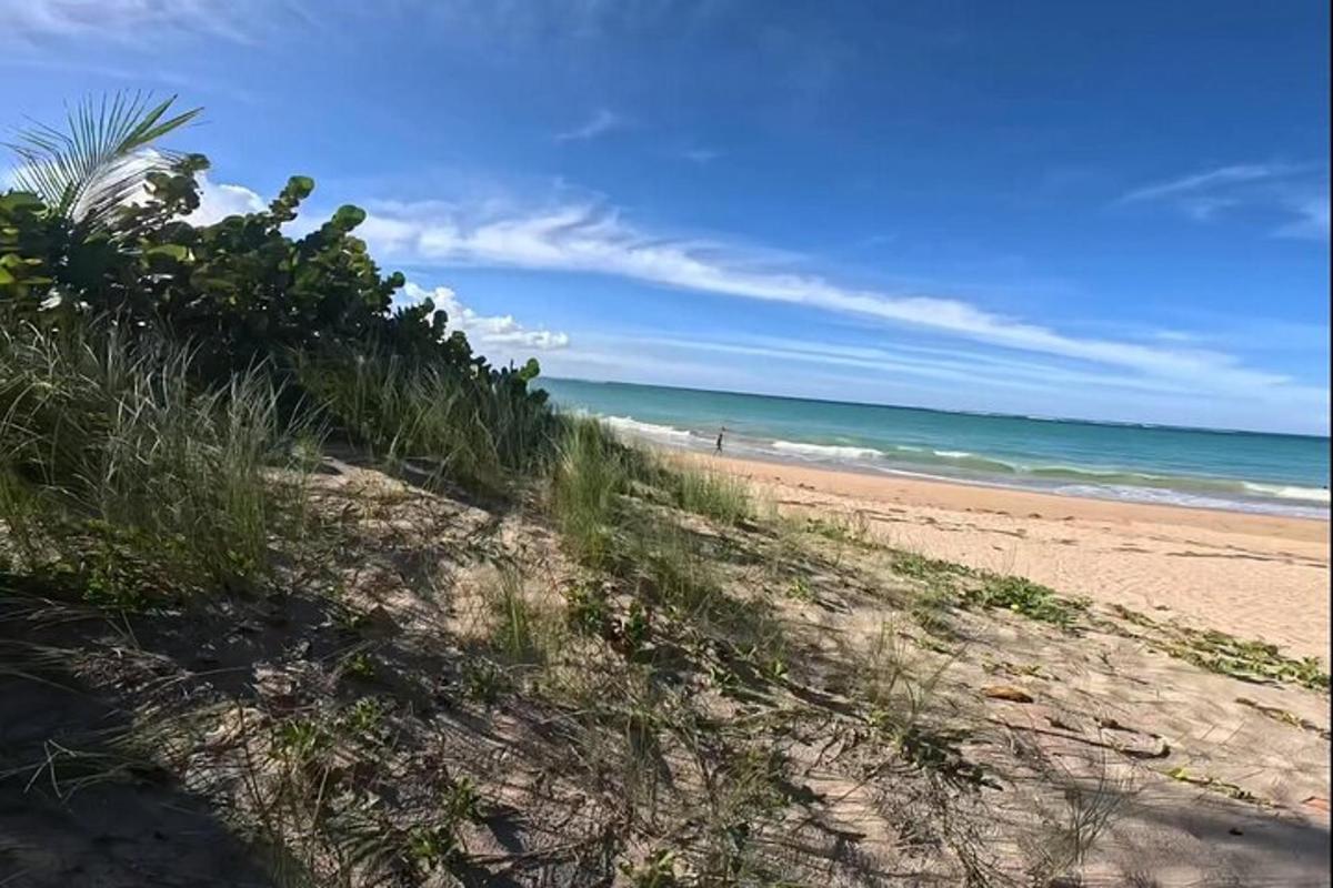 a sandy beach with a view of the ocean