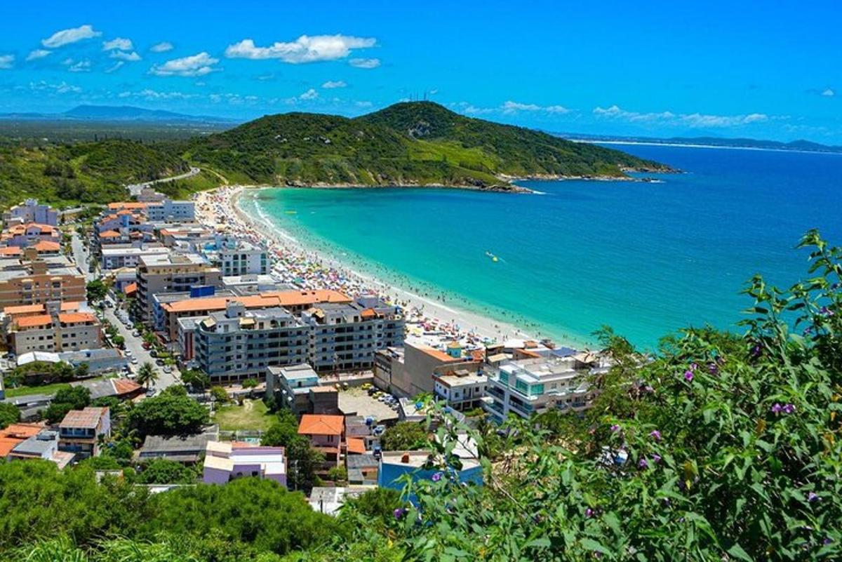 una vista aérea de una playa y el océano