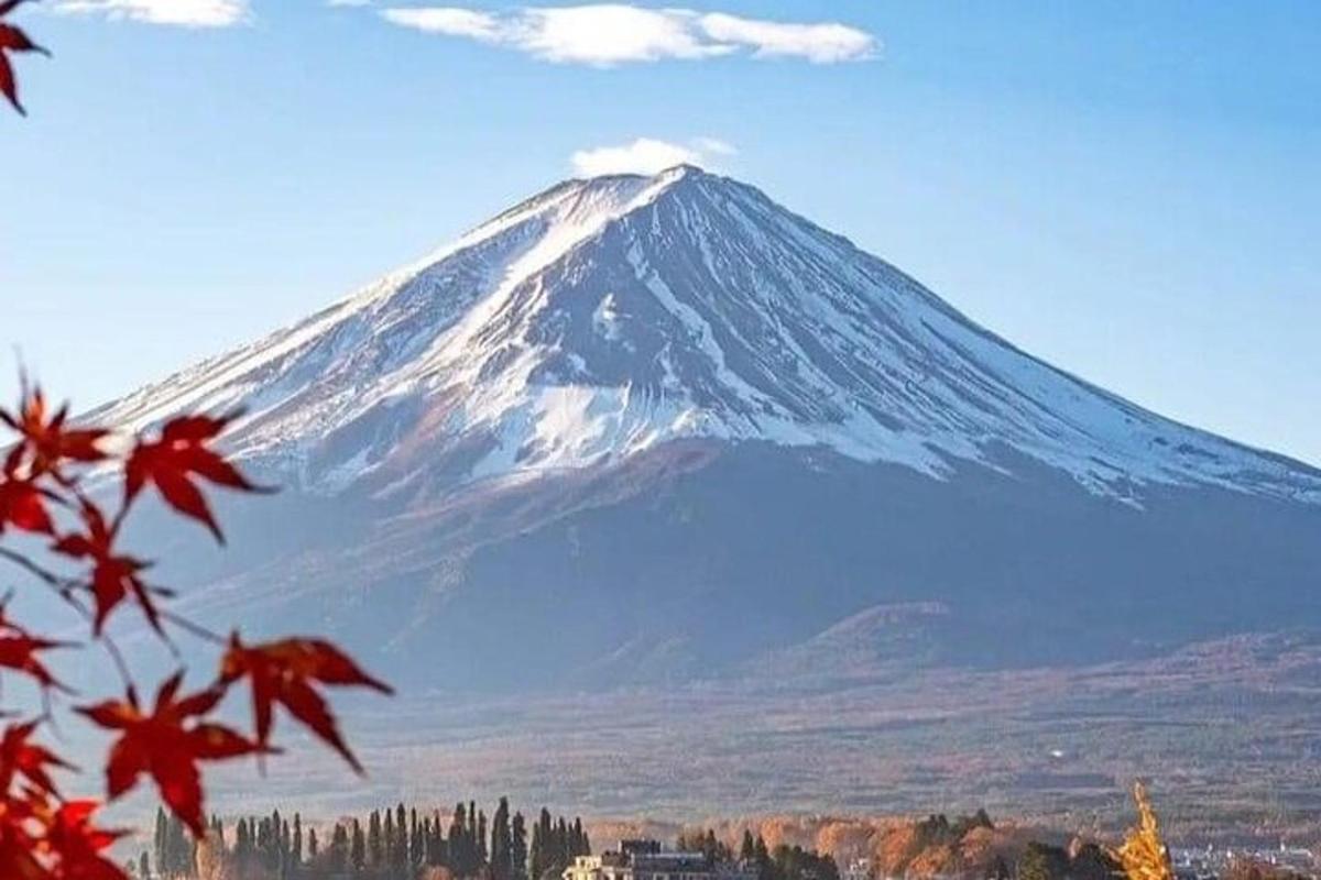 una montagna innevata in lontananza con un albero