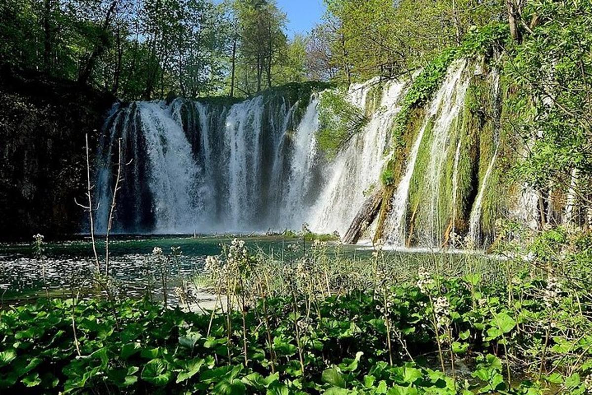водопад усред шуме