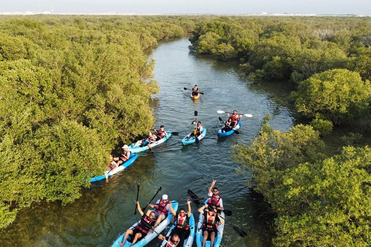 a group of people in kayaks on a river