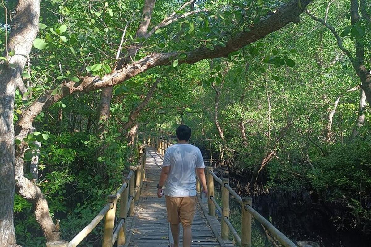 un home caminant per un camí de fusta al bosc