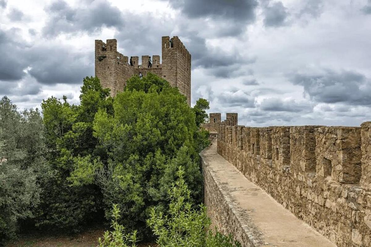 starý hrad s kamennou zdí a stromy