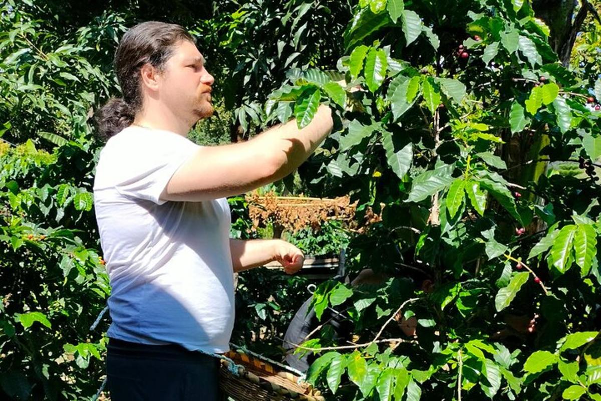 a man is standing in front of a bush