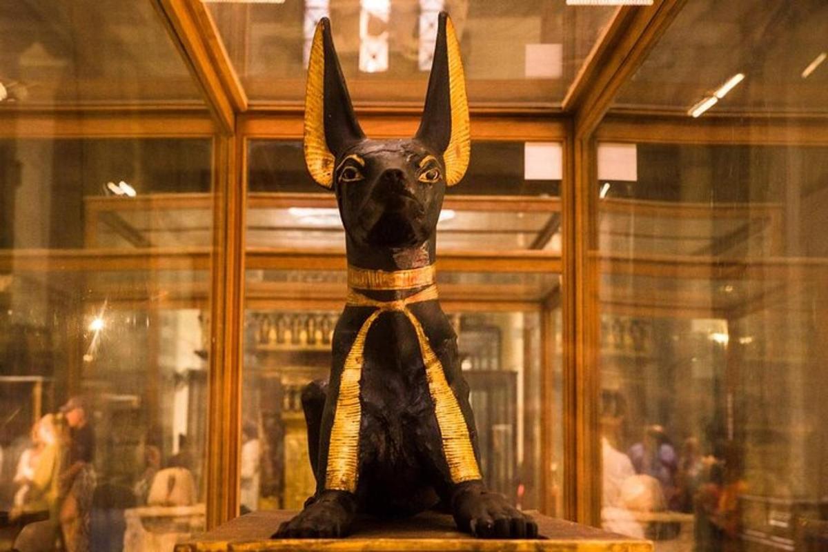 una statua di una capra in una teca di vetro