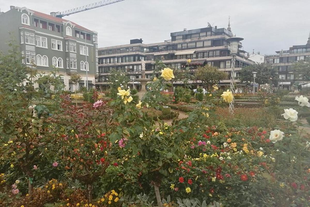 ein Garten mit Blumen vor Gebäuden