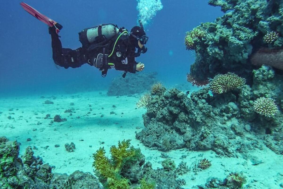 o persoană în ocean care privește reciful