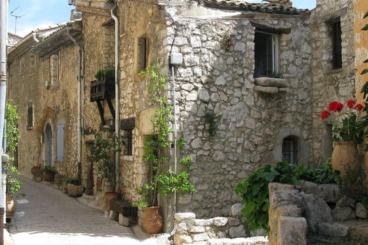 Un callejón de edificios de piedra con plantas en macetas.