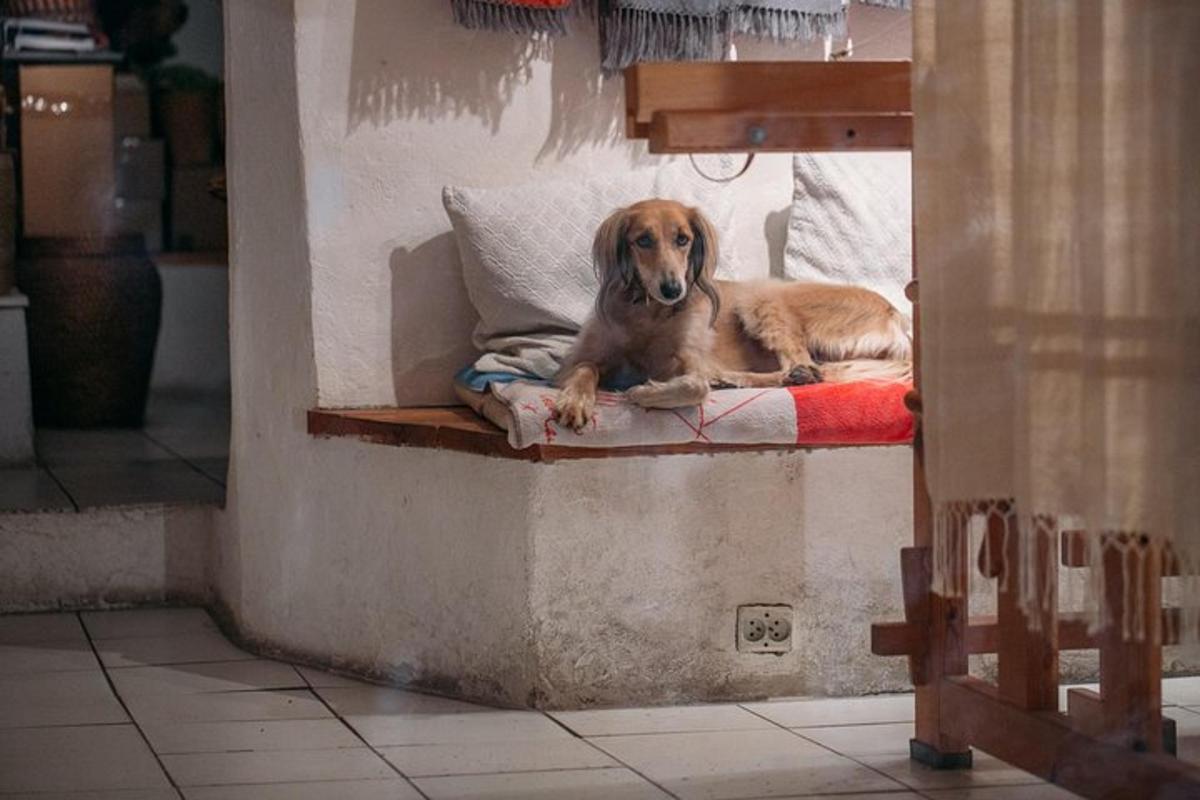 Un perro marrón acostado en una cama con una almohada.