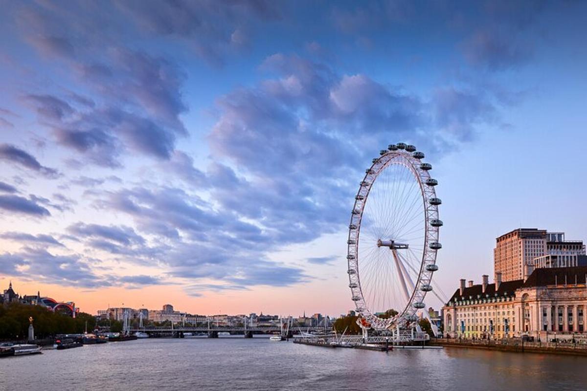 a ferris wheel on a river in a city