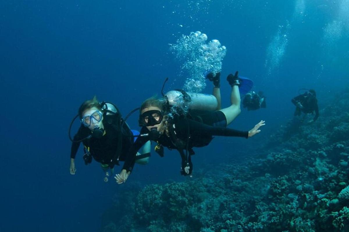 a group of people swimming in the ocean