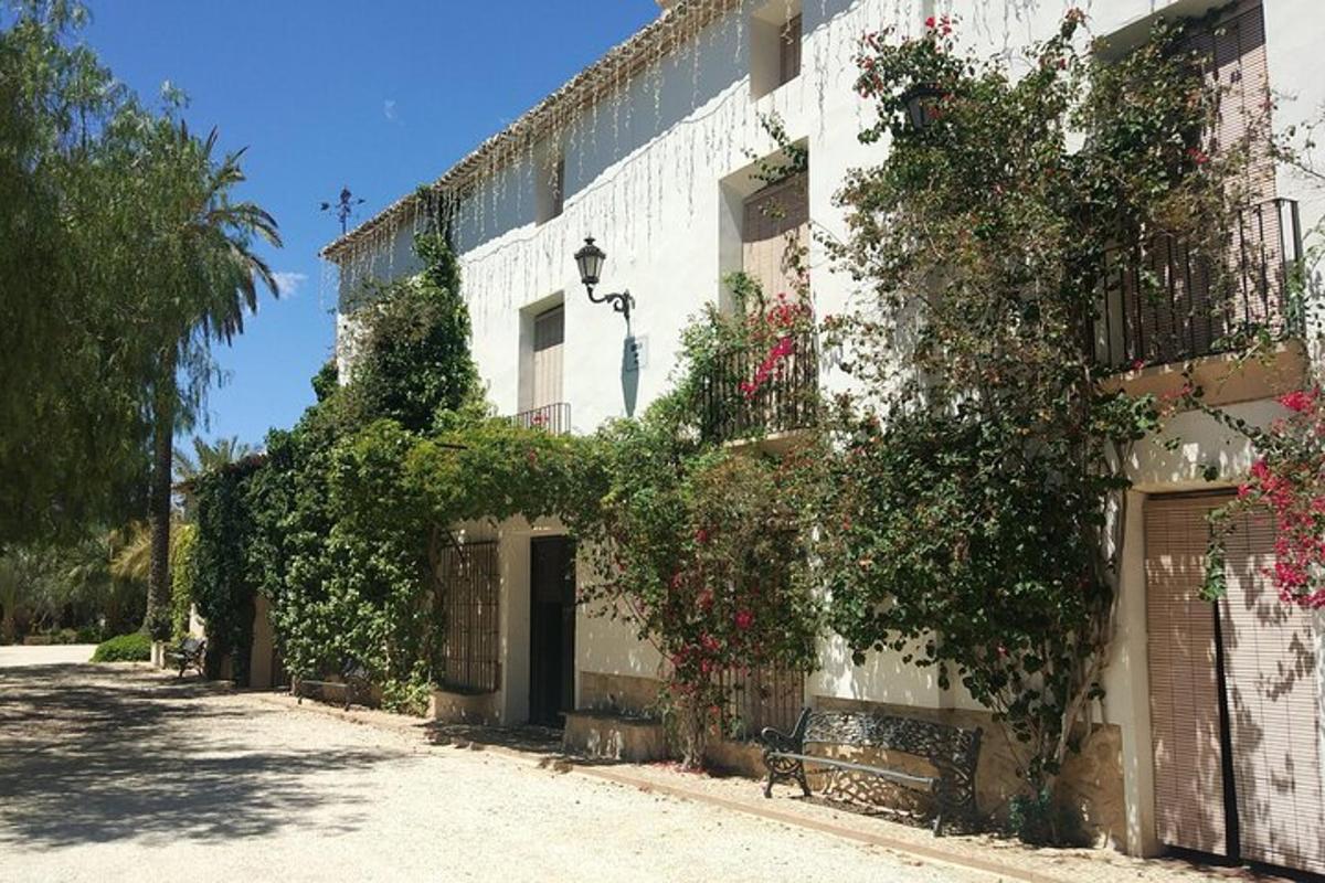 un edifici amb plantes al costat