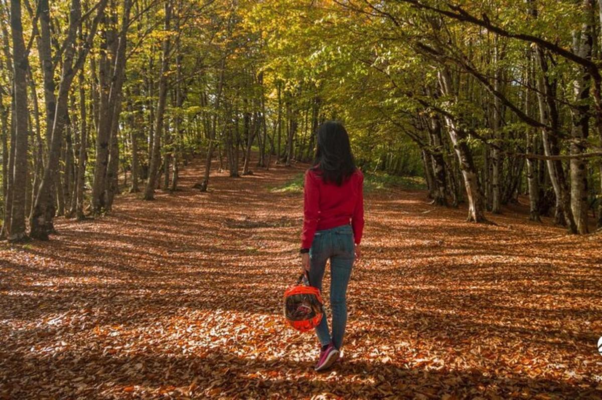 uma mulher caminhando por um caminho na floresta