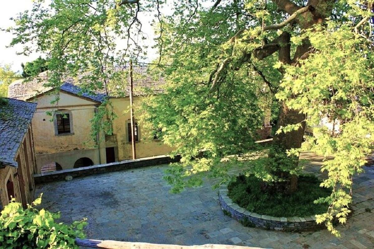 a large yard with a house and a tree