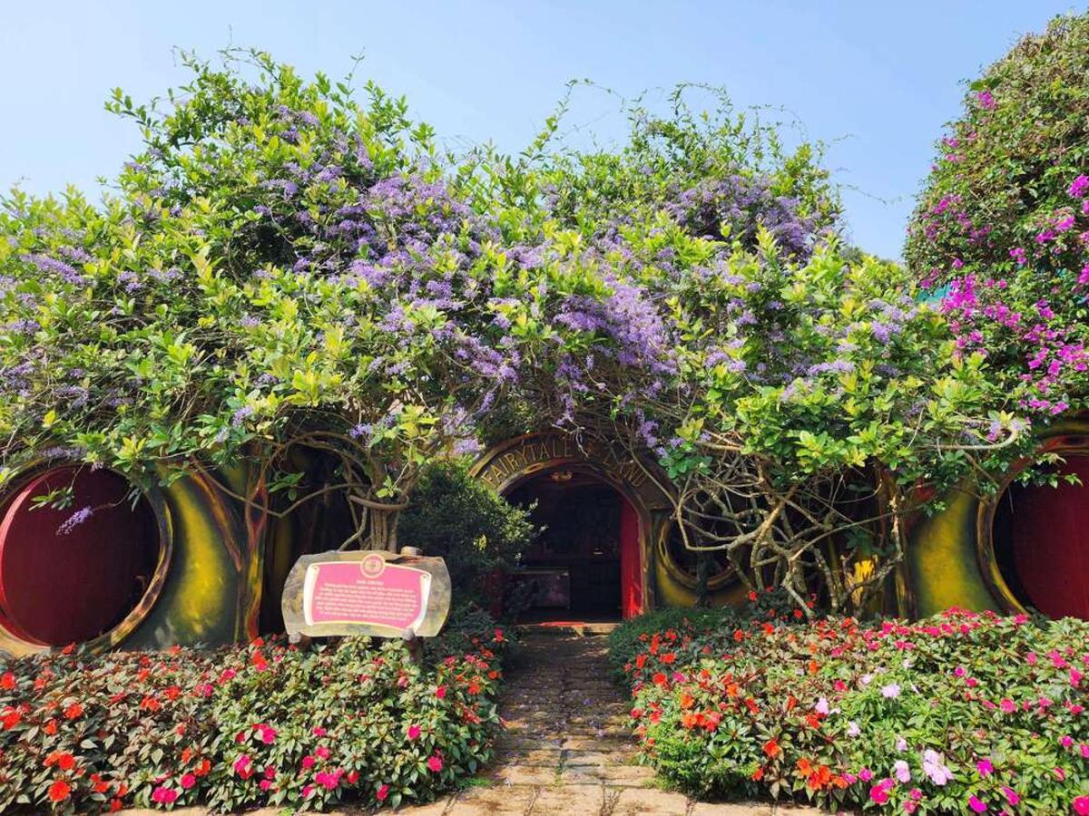 a garden with purple flowers and a bench