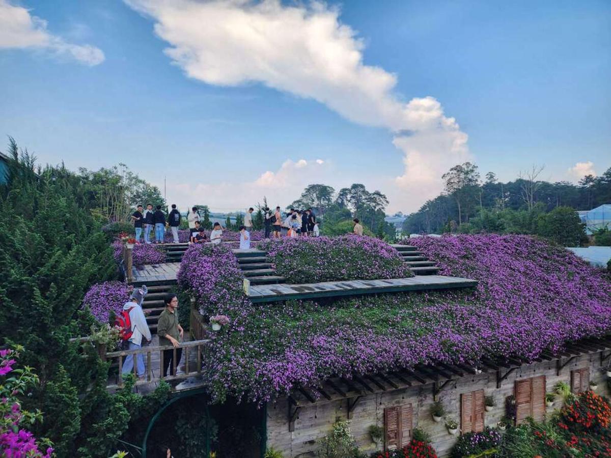 a garden with purple flowers on the side of a building