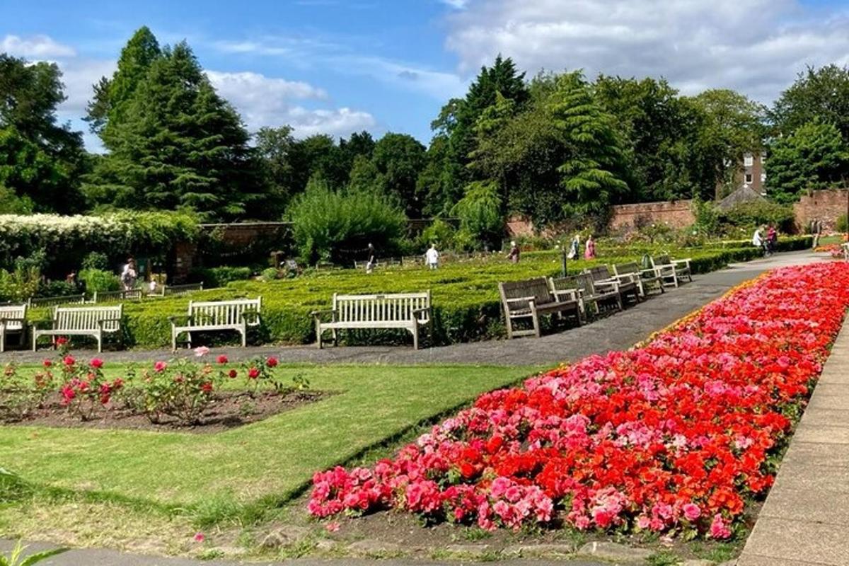 a row of benches in a park with flowers